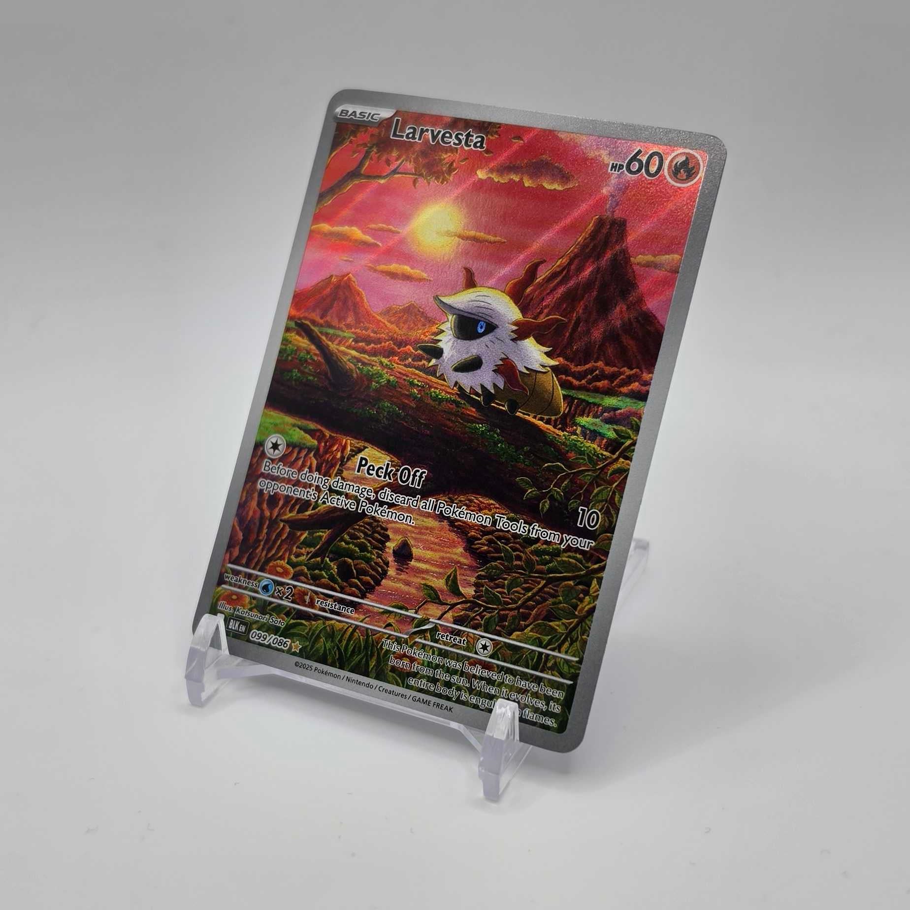 Larvesta - Black Bolt - NM